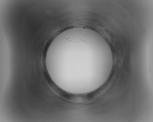 X0000114110209200910051245