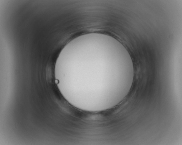 X0000114110210200910051245