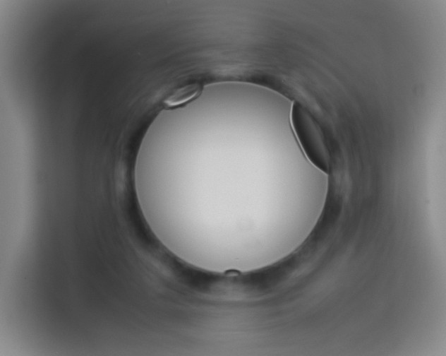 X0000114110211200910051245