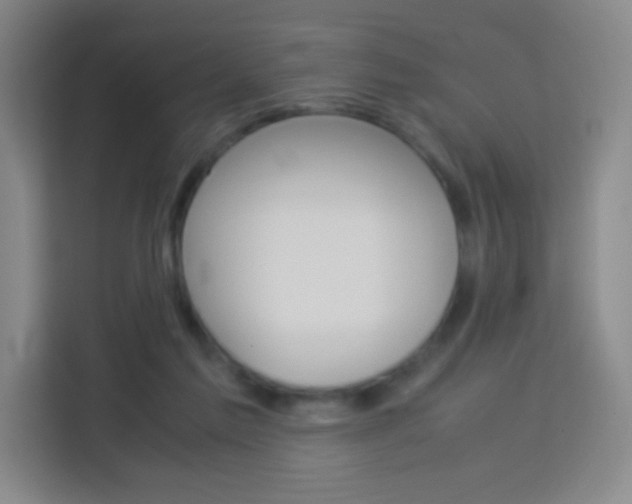 X0000114110213200910051245
