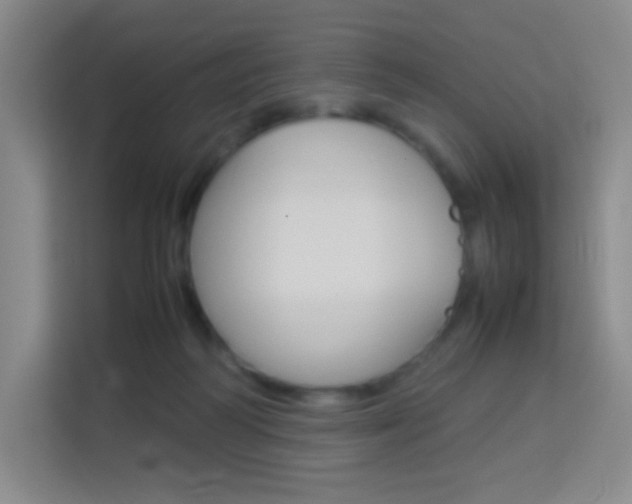 X0000114110218200910051245