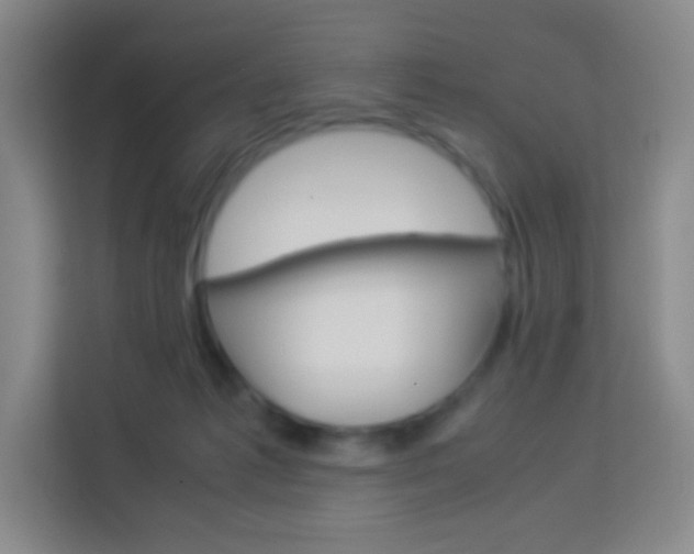 X0000114110221200910051245