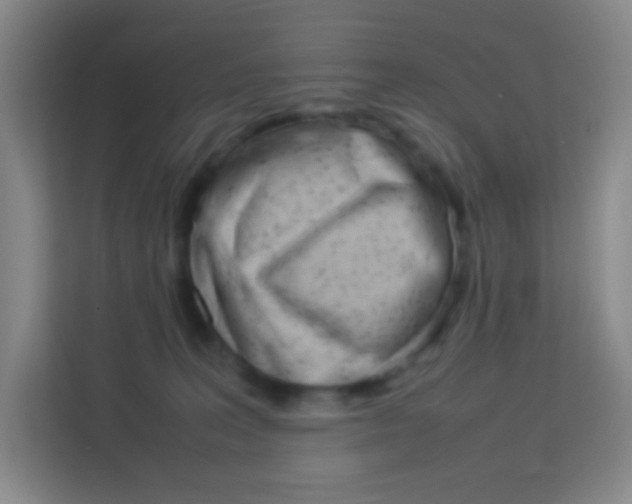 X0000114110227200910051245