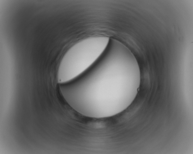 X0000114110228200910051245