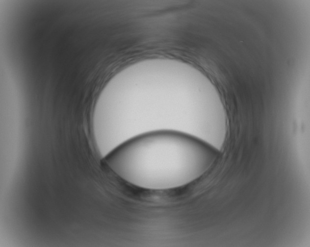 X0000114110229200910051245