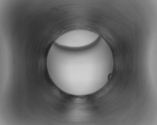 X0000114110232200910051245