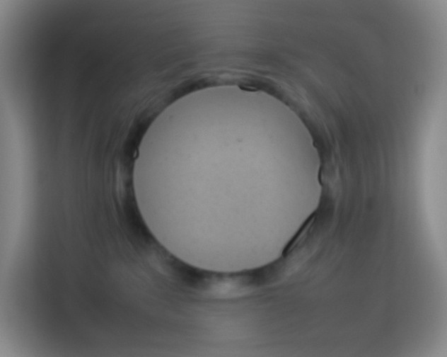 X0000114110235200910051245