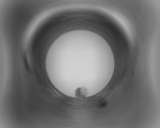 X0000114110239200910051245