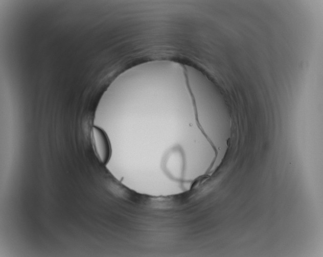 X0000114110240200910051245