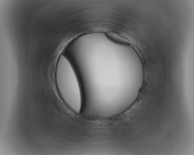 X0000114110241200910051244