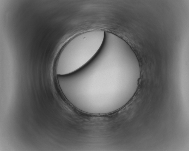 X0000114110242200910051244