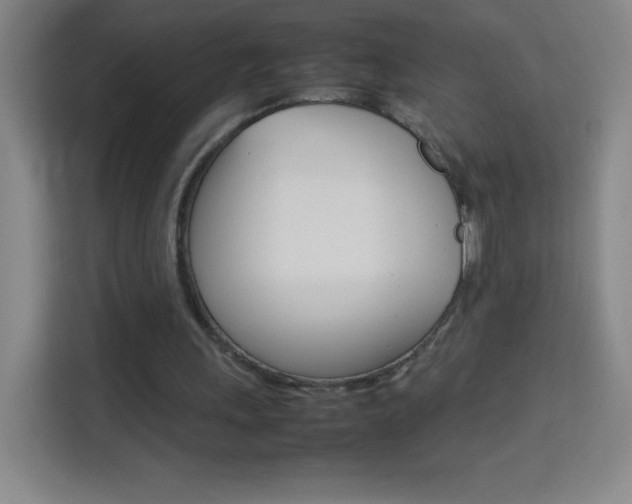 X0000114110243200910051244