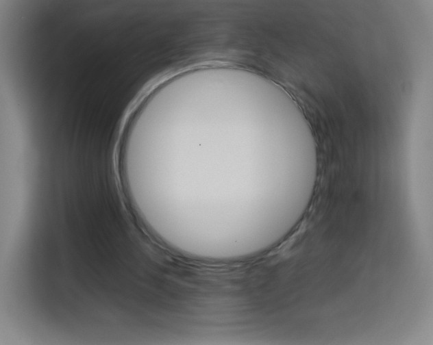X0000114110244200910051244