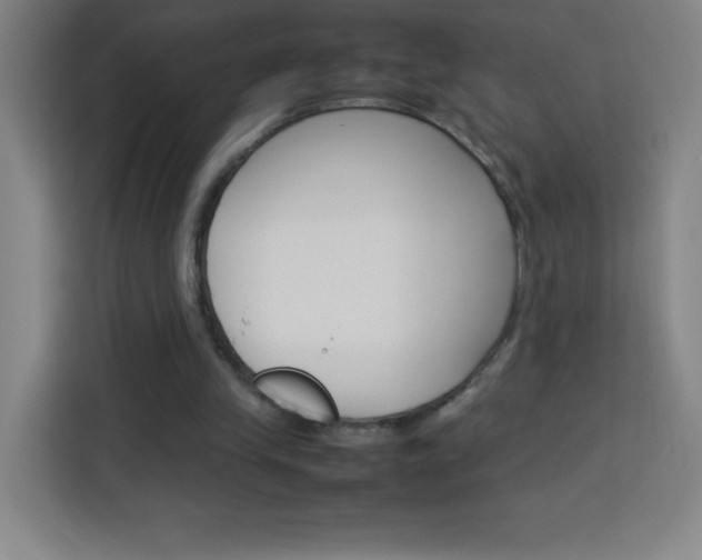 X0000114110245200910051244