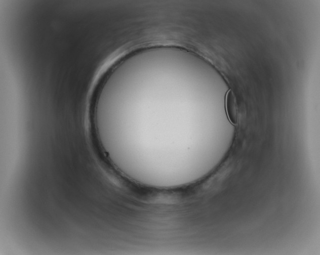 X0000114110248200910051244