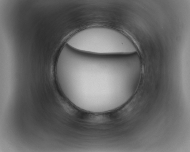 X0000114110249200910051244