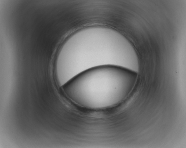 X0000114110252200910051244