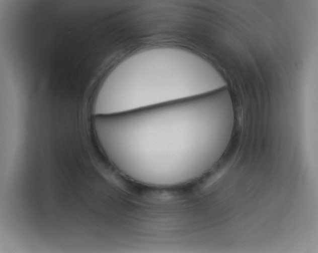 X0000114110254200910051244