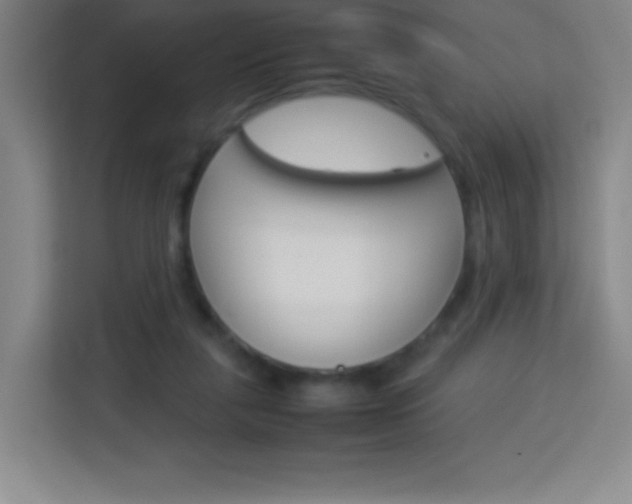 X0000114110259200910051244