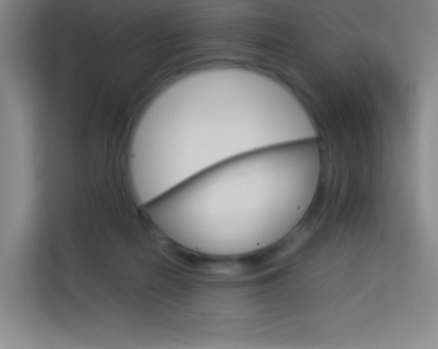 X0000114110266200910051245