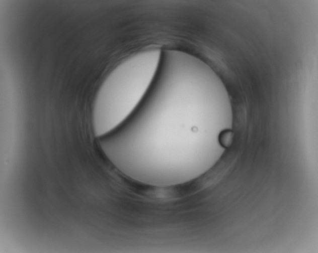 X0000114110273200910051245