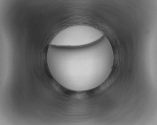 X0000114110278200910051245