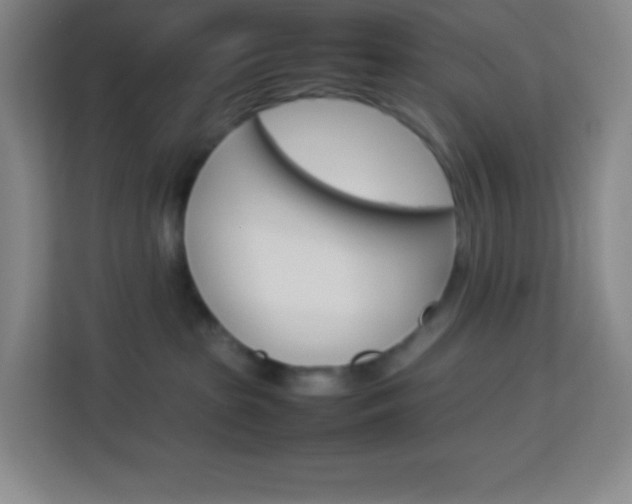 X0000114110285200910051245