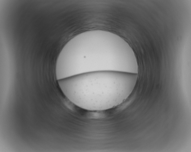 X0000114110286200910051245