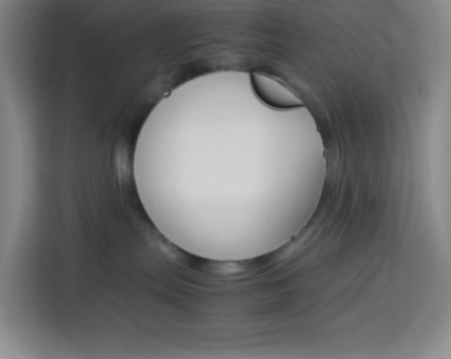 X0000114110287200910051245