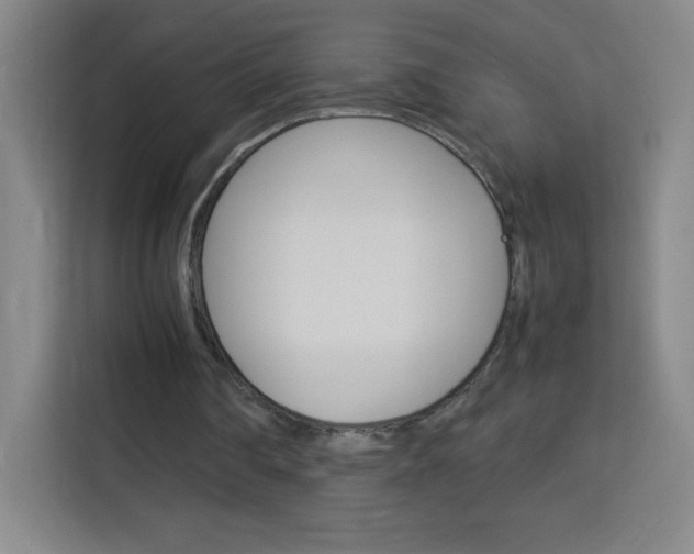 X0000114110290200910051244