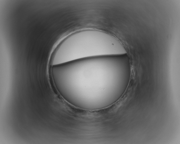 X0000114110292200910051244