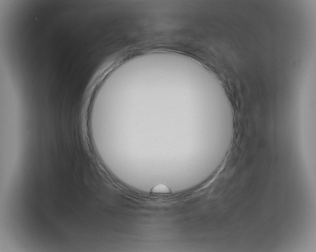 X0000114110293200910051244