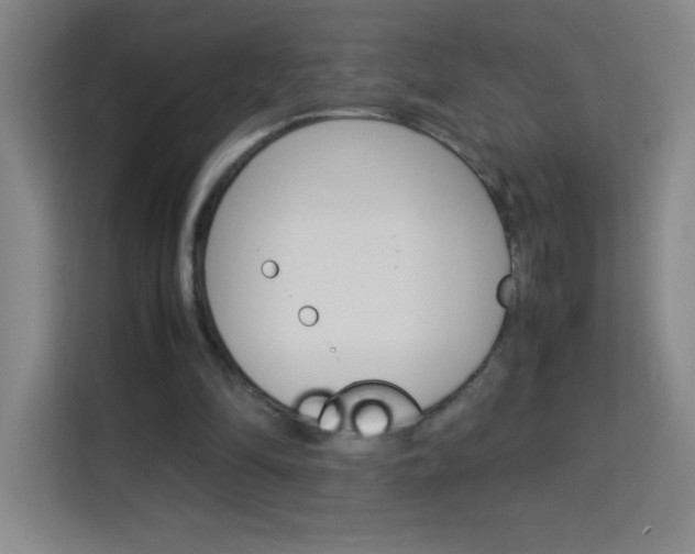 X0000114110294200910051244