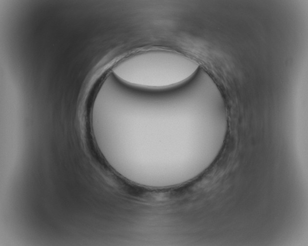 X0000114110295200910051244