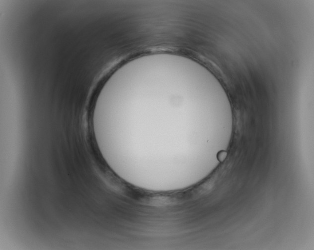 X0000114110298200910051244