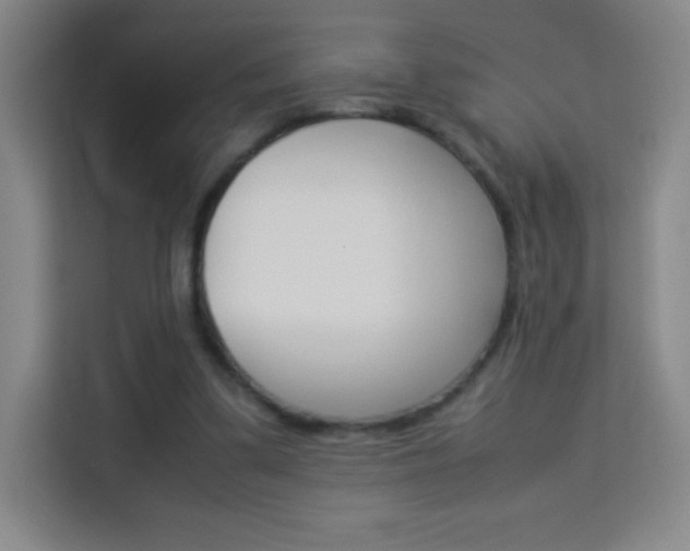 X0000114110299200910051244