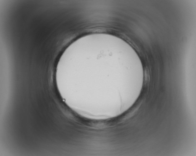 X0000114110301200910051244