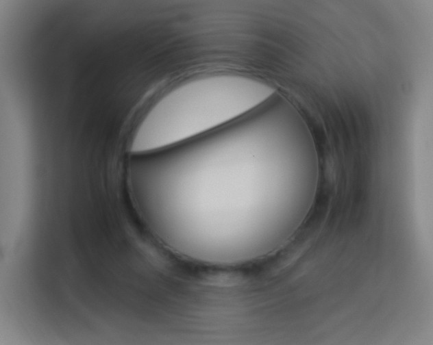 X0000114110304200910051244
