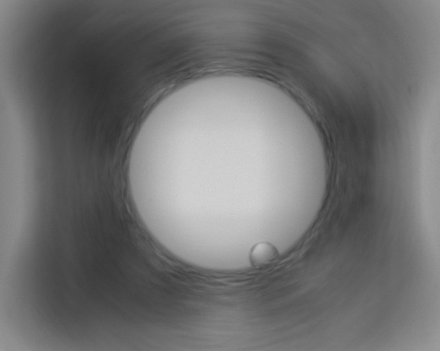 X0000114110305200910051244