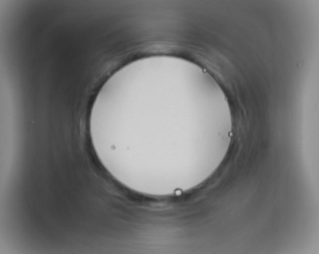 X0000114110309200910051244