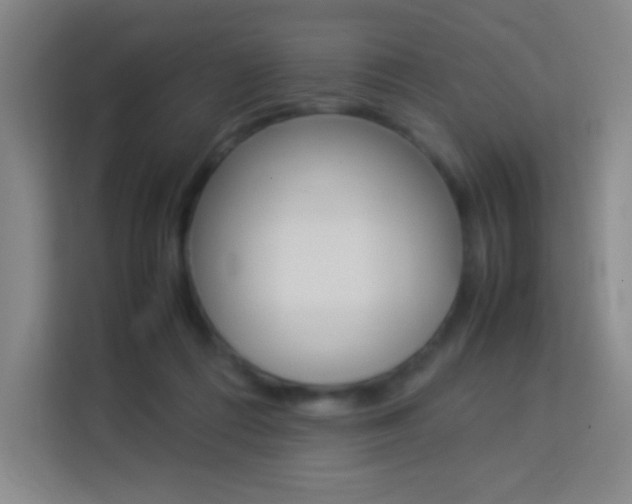 X0000114110312200910051244
