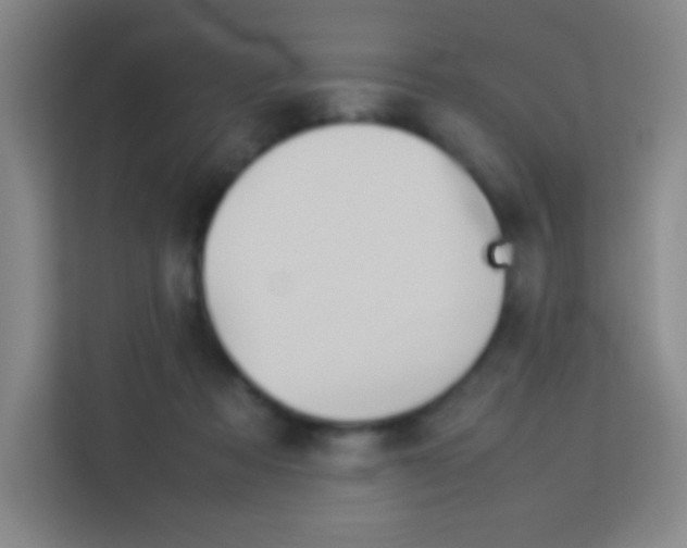 X0000114110313200910051244