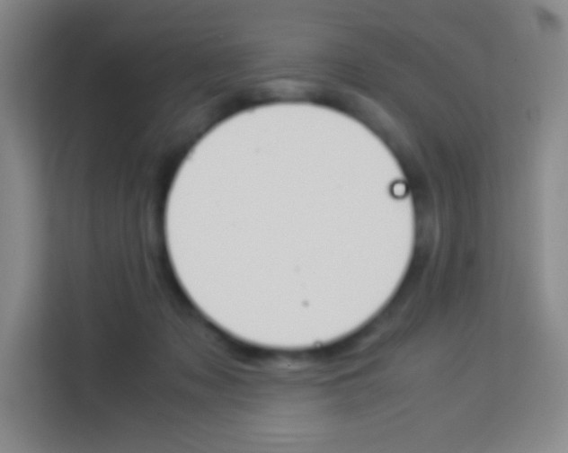 X0000114110317200910051244