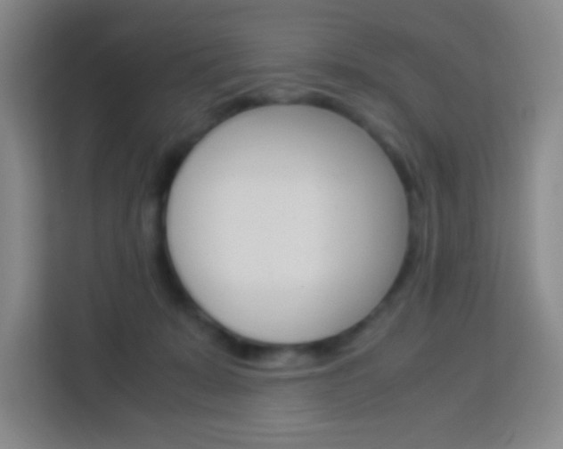 X0000114110319200910051244