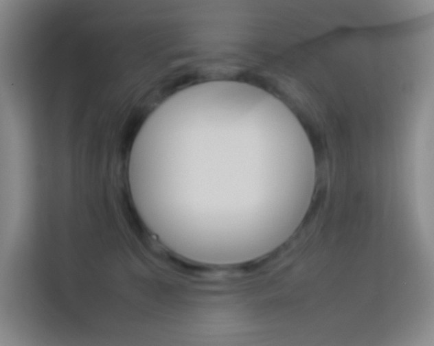 X0000114110323200910051244