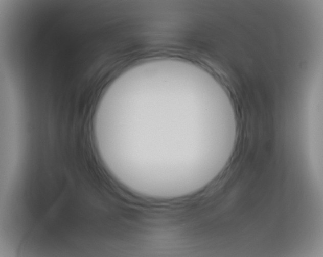 X0000114110325200910051244