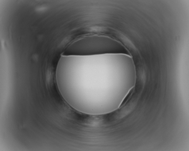 X0000114110328200910051244