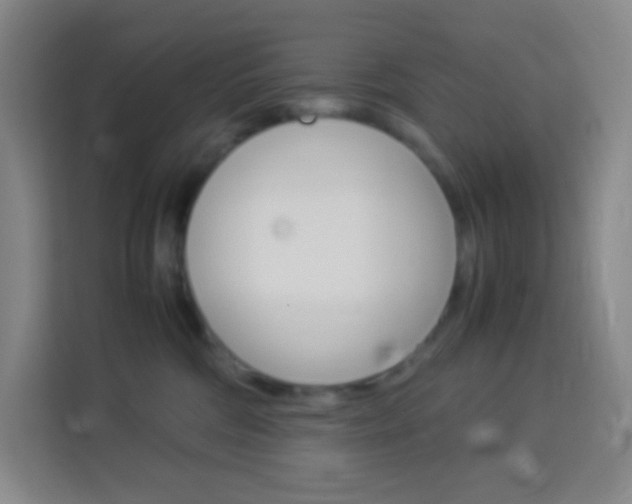 X0000114110330200910051244