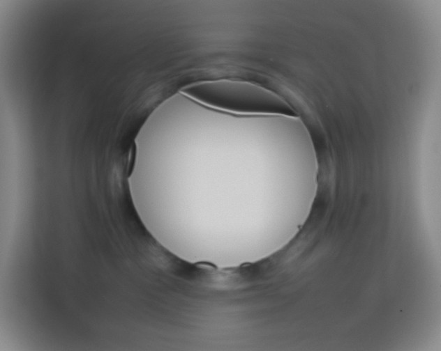 X0000114110333200910051244
