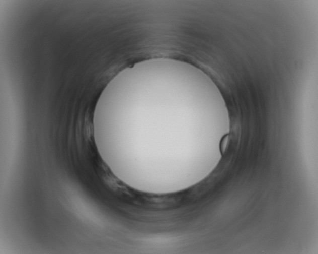 X0000114110334200910051244
